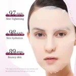 Bioaqua Grape Seed Antioxidant Hydrating Facial Sheet Mask 25g